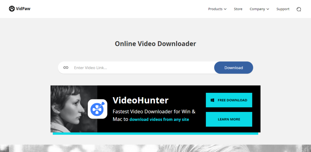 vidpaw online converter